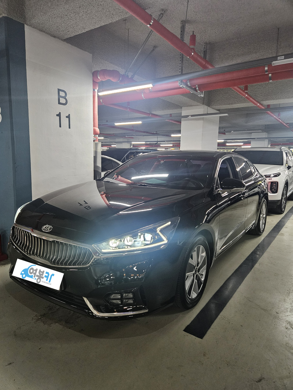 3149e6e9i8y5209396.jpg