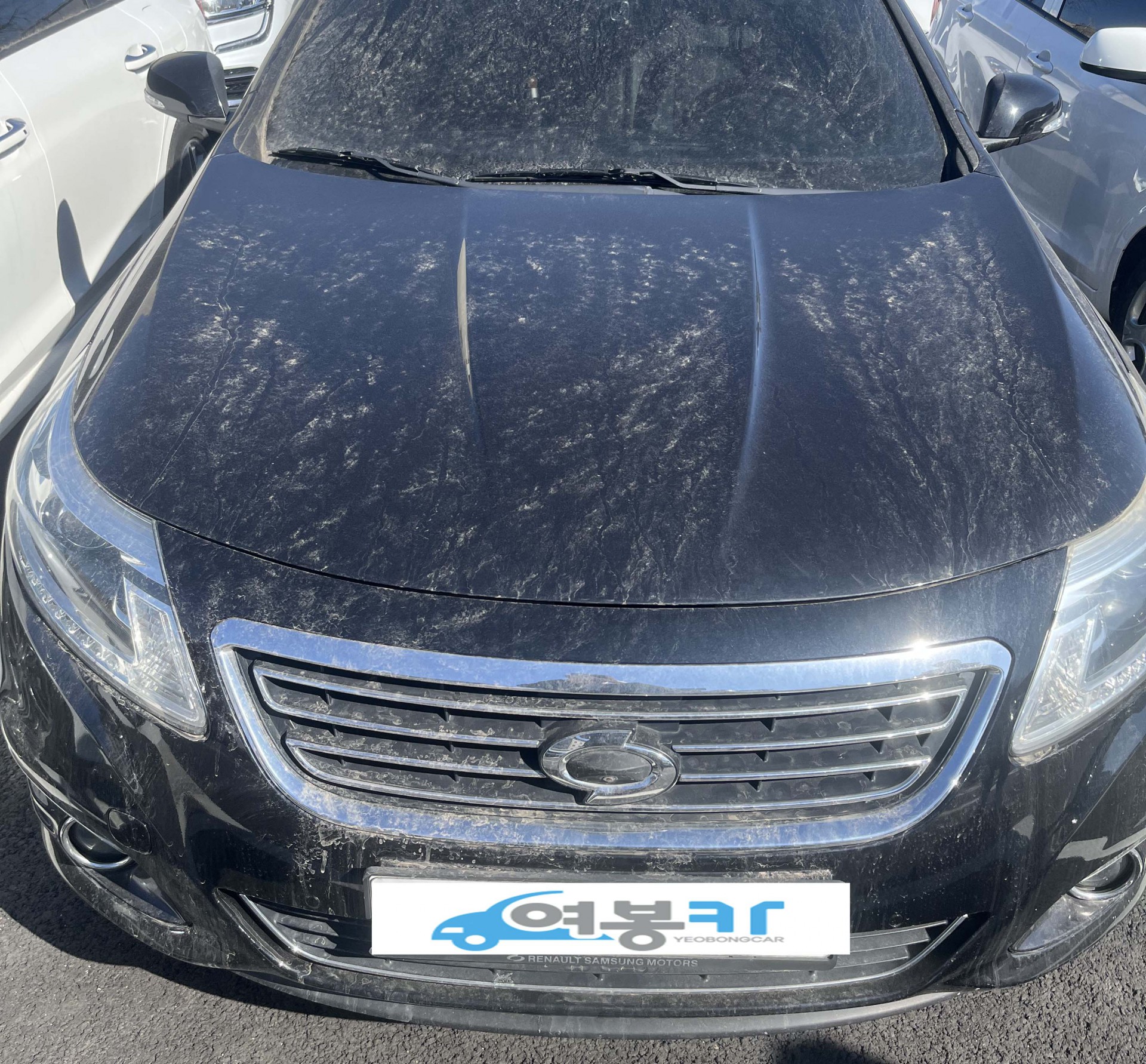 SM3 보러 오셨다가 선택한 SM5 중고 이야기