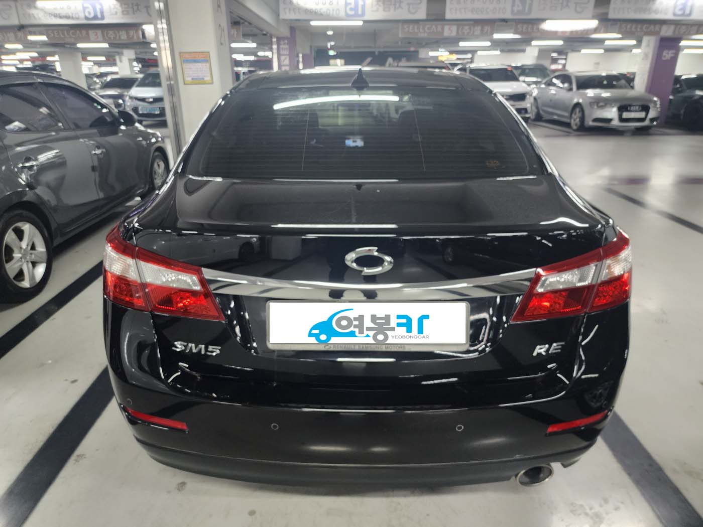 xz5xplqyvs7977697.jpg