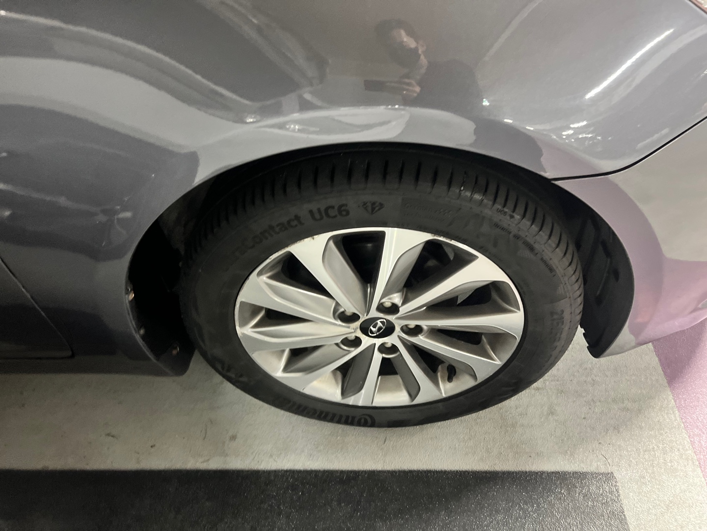 i6gaur5arc8426348.jpg