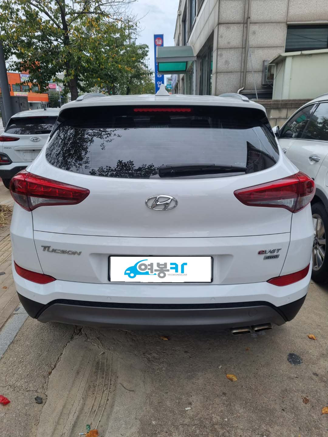 25m5i3w11qxe.jpg